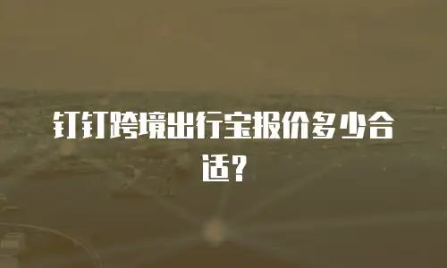 钉钉跨境出行宝报价多少合适？