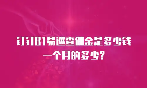 钉钉B1易巡查佣金是多少钱一个月的多少？