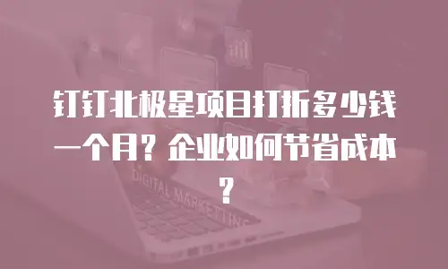 钉钉北极星项目打折多少钱一个月？企业如何节省成本？