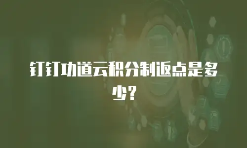 钉钉功道云积分制返点是多少？