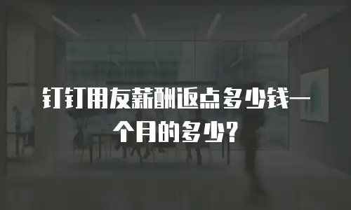 钉钉用友薪酬返点多少钱一个月的多少？