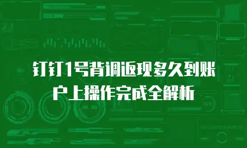 钉钉1号背调返现多久到账户上操作完成全解析