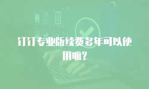 钉钉专业版续费多年可以使用嘛？