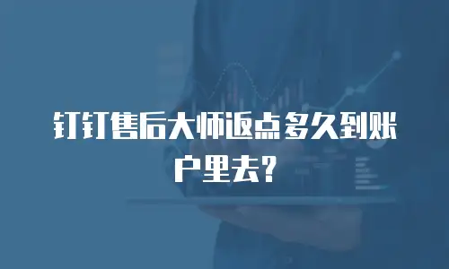 钉钉售后大师返点多久到账户里去？