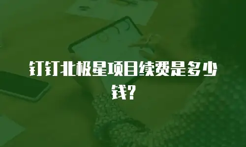 钉钉北极星项目续费是多少钱？