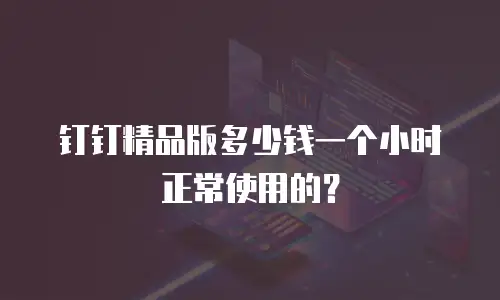 钉钉精品版多少钱一个小时正常使用的？