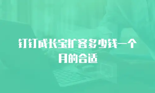 钉钉成长宝扩容多少钱一个月的合适