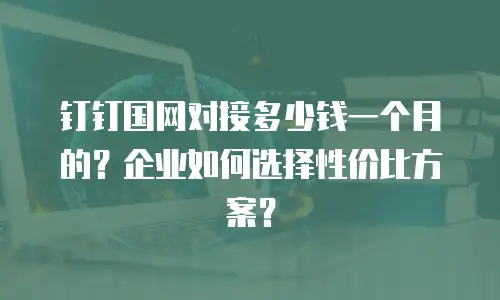 钉钉国网对接多少钱一个月的？企业如何选择性价比方案？