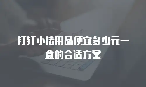 钉钉小猪用品便宜多少元一盒的合适方案