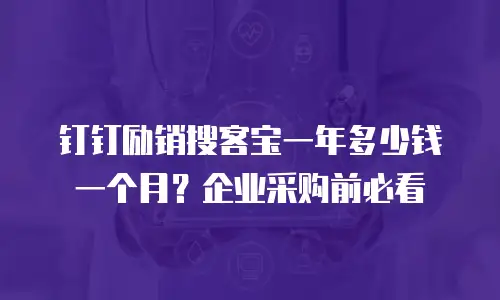 钉钉励销搜客宝一年多少钱一个月？企业采购前必看