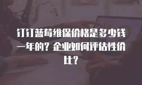 钉钉蓝莓维保价格是多少钱一年的？企业如何评估性价比？