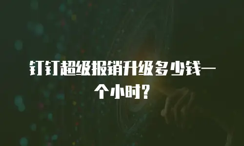 钉钉超级报销升级多少钱一个小时？