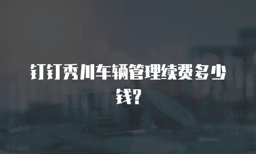 钉钉秀川车辆管理续费多少钱？