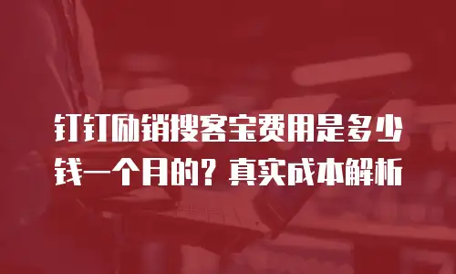 钉钉励销搜客宝费用是多少钱一个月的？真实成本解析