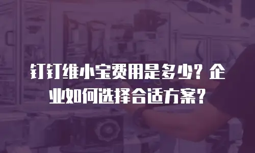 钉钉维小宝费用是多少？企业如何选择合适方案？