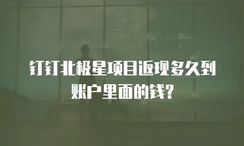 钉钉北极星项目返现多久到账户里面的钱？