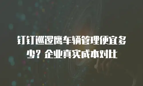 钉钉巡逻鹰车辆管理便宜多少？企业真实成本对比