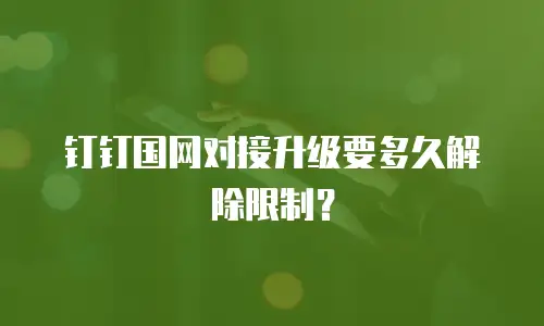 钉钉国网对接升级要多久解除限制？