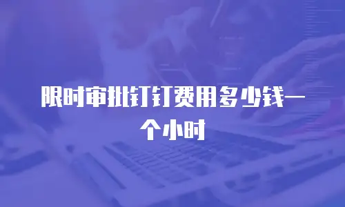 限时审批钉钉费用多少钱一个小时