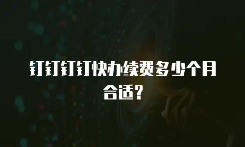 钉钉钉钉快办续费多少个月合适？