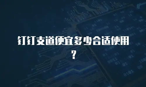 钉钉支道便宜多少合适使用？