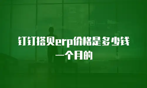 钉钉搭贝erp价格是多少钱一个月的