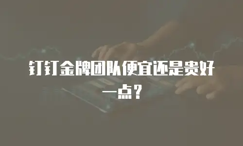 钉钉金牌团队便宜还是贵好一点？
