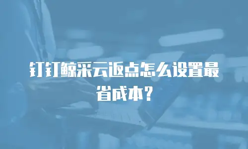 钉钉鲸采云返点怎么设置最省成本？