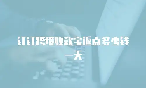钉钉跨境收款宝返点多少钱一天