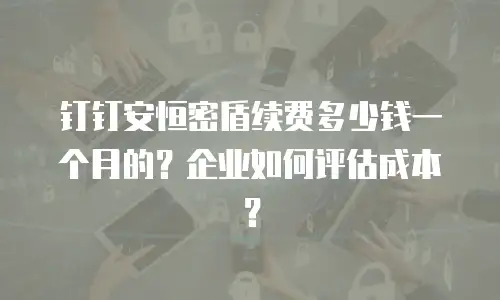 钉钉安恒密盾续费多少钱一个月的？企业如何评估成本？