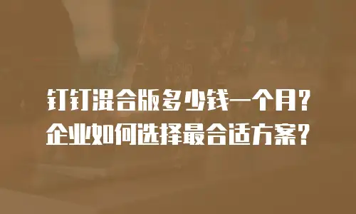 钉钉混合版多少钱一个月？企业如何选择最合适方案？