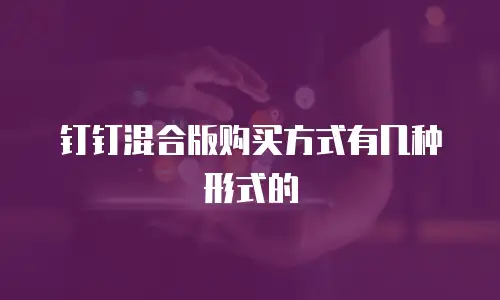 钉钉混合版购买方式有几种形式的