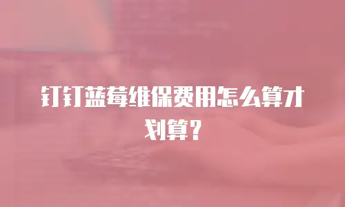钉钉蓝莓维保费用怎么算才划算？