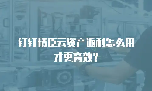 钉钉精臣云资产返利怎么用才更高效？