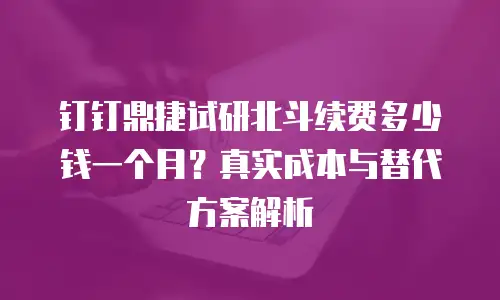 钉钉鼎捷试研北斗续费多少钱一个月？真实成本与替代方案解析