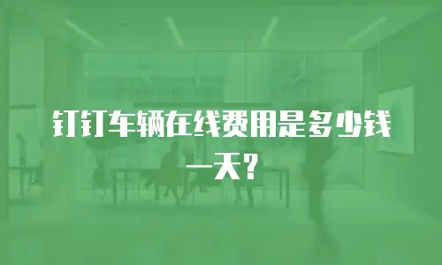 钉钉车辆在线费用是多少钱一天？