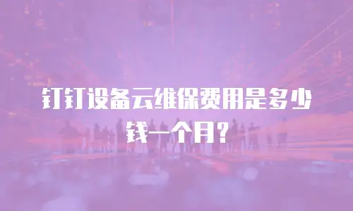 钉钉设备云维保费用是多少钱一个月？