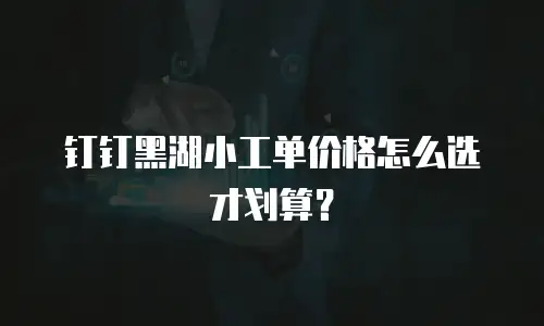 钉钉黑湖小工单价格怎么选才划算？