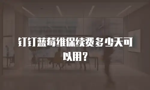 钉钉蓝莓维保续费多少天可以用？