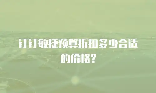 钉钉敏捷预算折扣多少合适的价格？