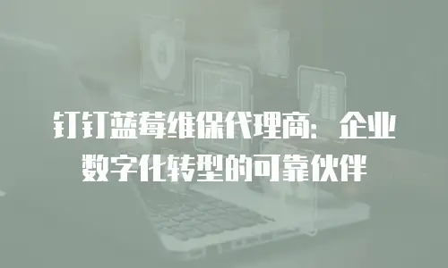 钉钉蓝莓维保代理商：企业数字化转型的可靠伙伴