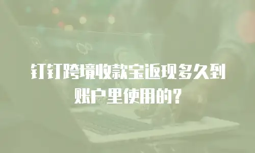 钉钉跨境收款宝返现多久到账户里使用的？