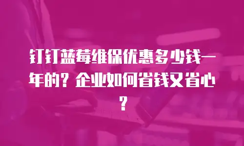 钉钉蓝莓维保优惠多少钱一年的？企业如何省钱又省心？