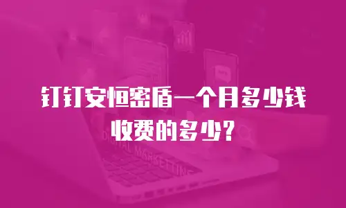 钉钉安恒密盾一个月多少钱收费的多少？