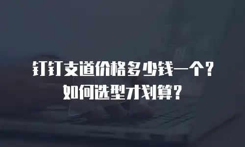 钉钉支道价格多少钱一个？如何选型才划算？