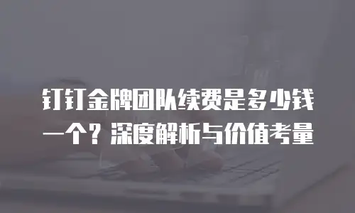 钉钉金牌团队续费是多少钱一个？深度解析与价值考量