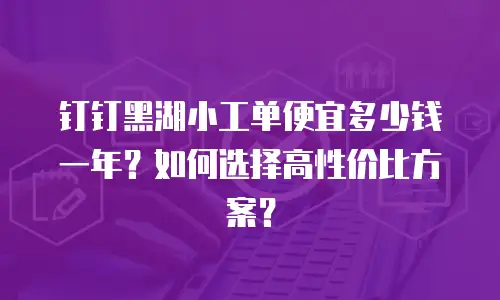 钉钉黑湖小工单便宜多少钱一年？如何选择高性价比方案？