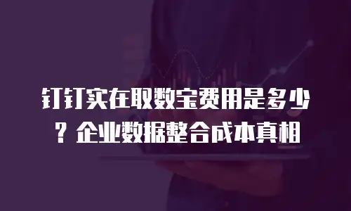 钉钉实在取数宝费用是多少？企业数据整合成本真相
