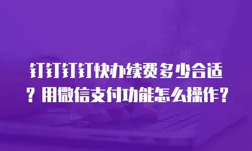 钉钉钉钉快办续费多少合适？用微信支付功能怎么操作？