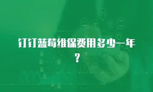 钉钉蓝莓维保费用多少一年？